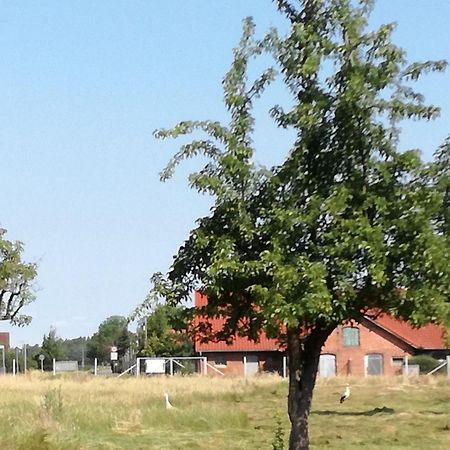 Besinndich Nebelin Exteriör bild