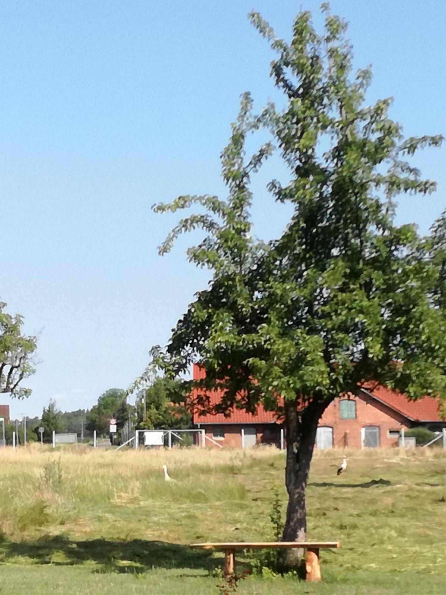 Besinndich Nebelin Exteriör bild